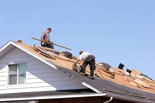  Moose Lake, MN Roofing services Pros